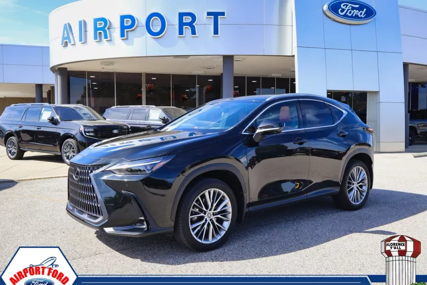 2024 Lexus NX 350 Luxury photo 1