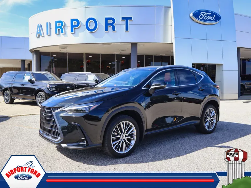 2024 Lexus NX 350 Luxury photo 1
