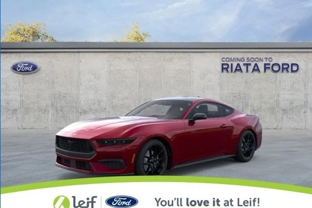 2025 Ford Mustang EcoBoost photo 1