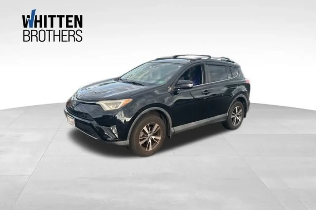 2017 Toyota RAV4 XLE photo 1