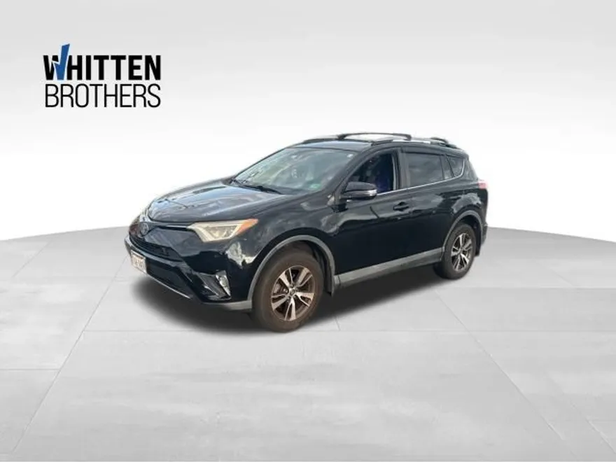 2017 Toyota RAV4 XLE photo 1
