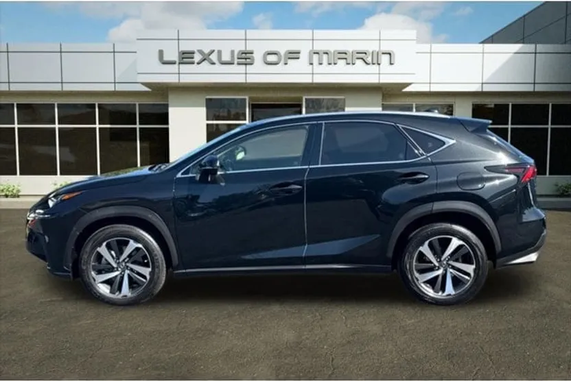 2020 Lexus NX 300 Premium photo 1