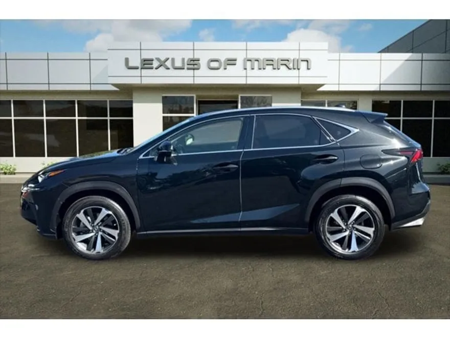 2020 Lexus NX 300 Premium photo 1