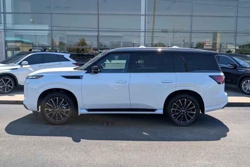 2026 Infiniti QX80 photo 1