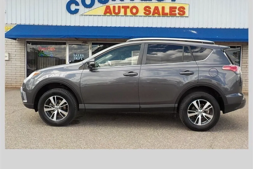 2018 Toyota RAV4 XLE photo 1