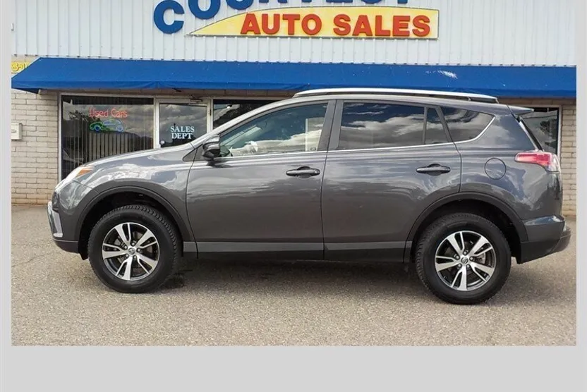 2018 Toyota RAV4 XLE photo 1