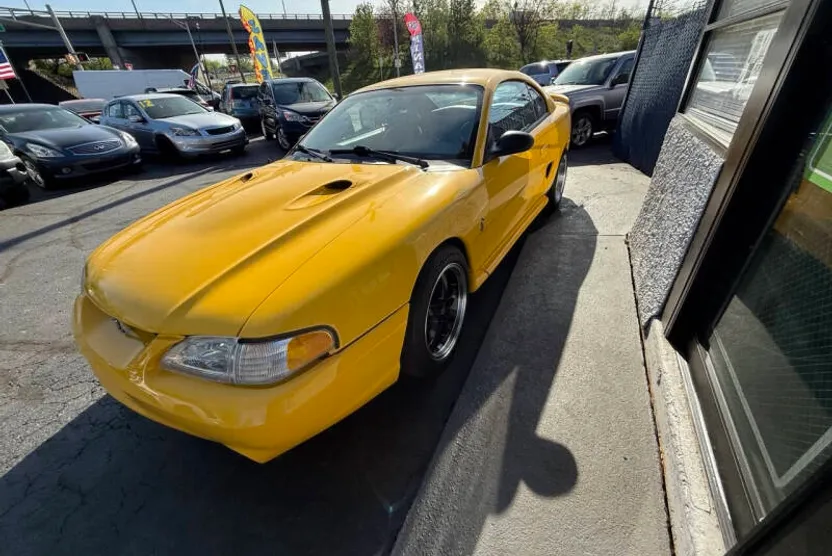 1998 Ford Mustang Cobra photo 1