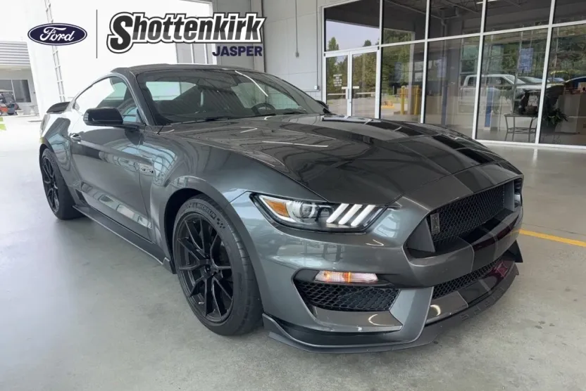 2019 Ford Mustang Shelby GT350 photo 1