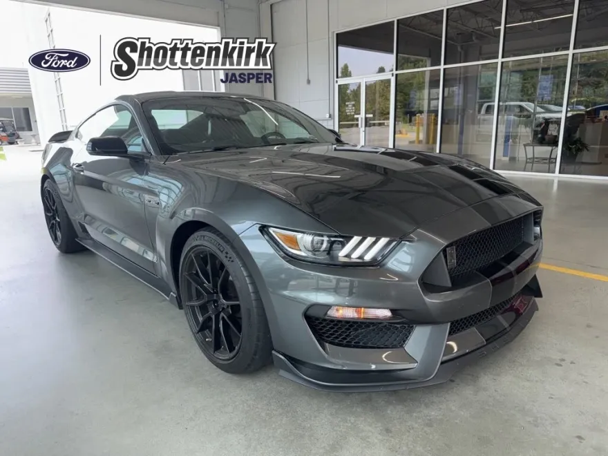 2019 Ford Mustang Shelby GT350 photo 1