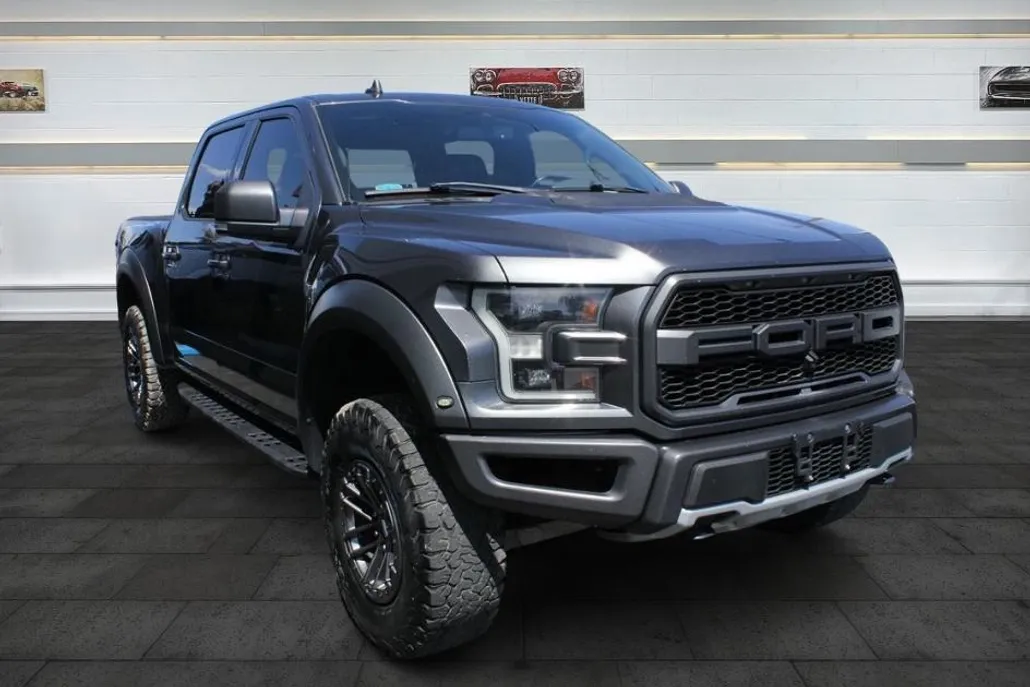 2019 Ford F-150 Raptor photo 1