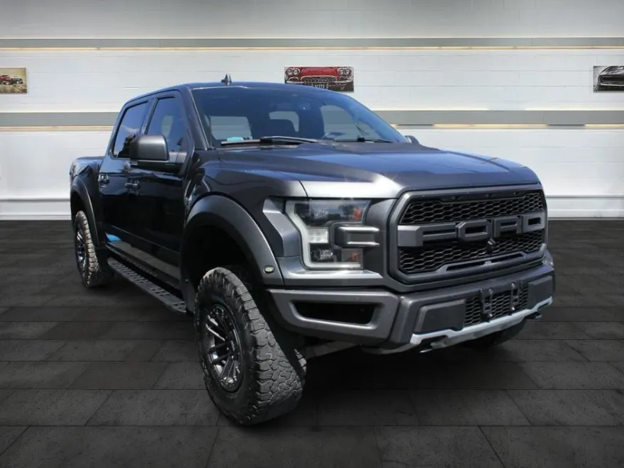 2019 Ford F-150 Raptor photo 1