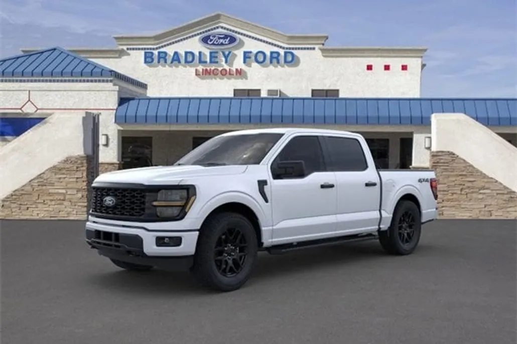 2025 Ford F-150 STX photo 1