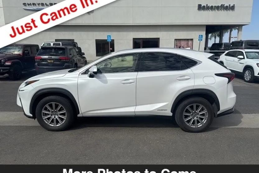 2019 Lexus NX 300h Luxury photo 1