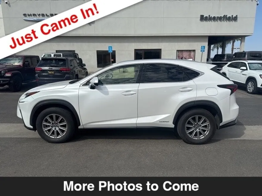2019 Lexus NX 300h Luxury photo 1