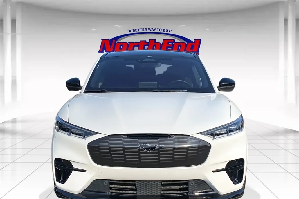 2022 Ford Mustang Mach-E GT photo 1