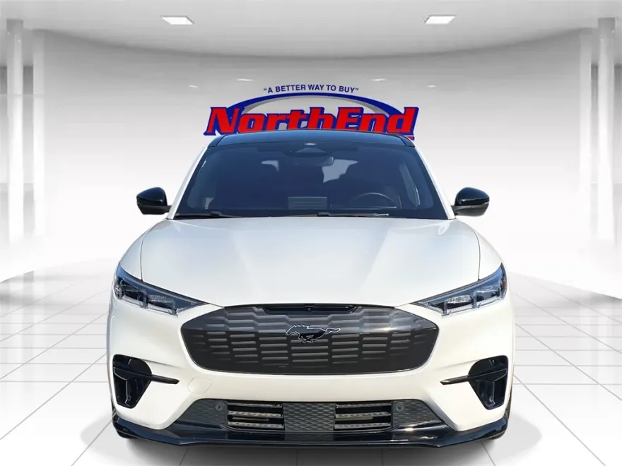 2022 Ford Mustang Mach-E GT photo 1