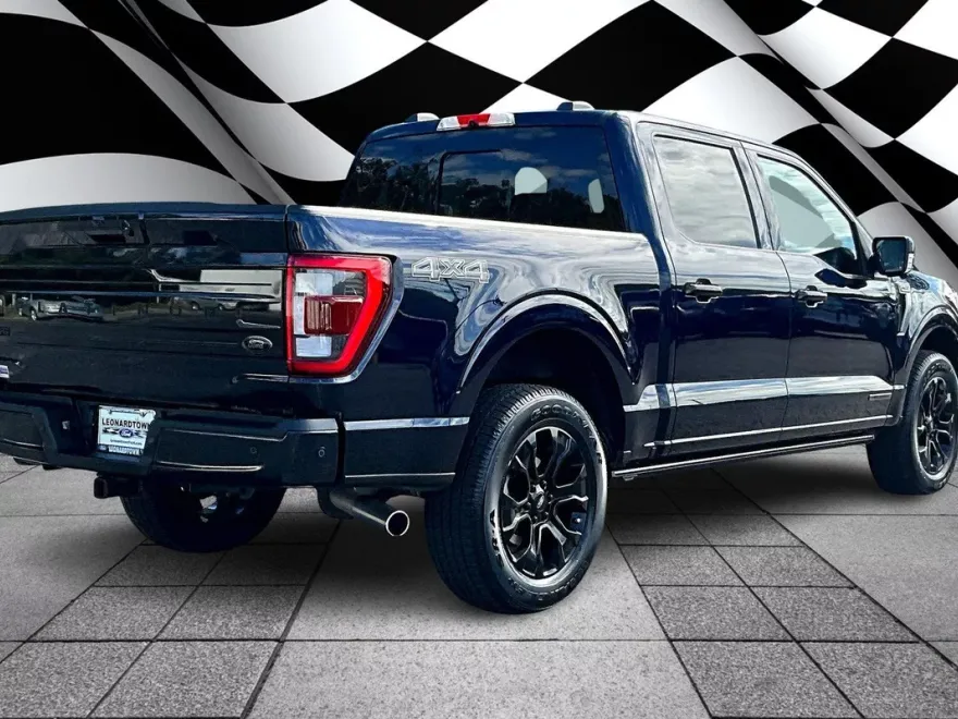 2022 Ford F-150 Platinum photo 1
