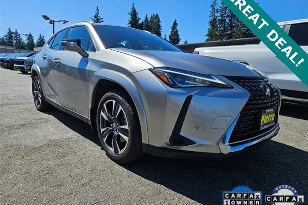 2022 Lexus UX 250h photo 1