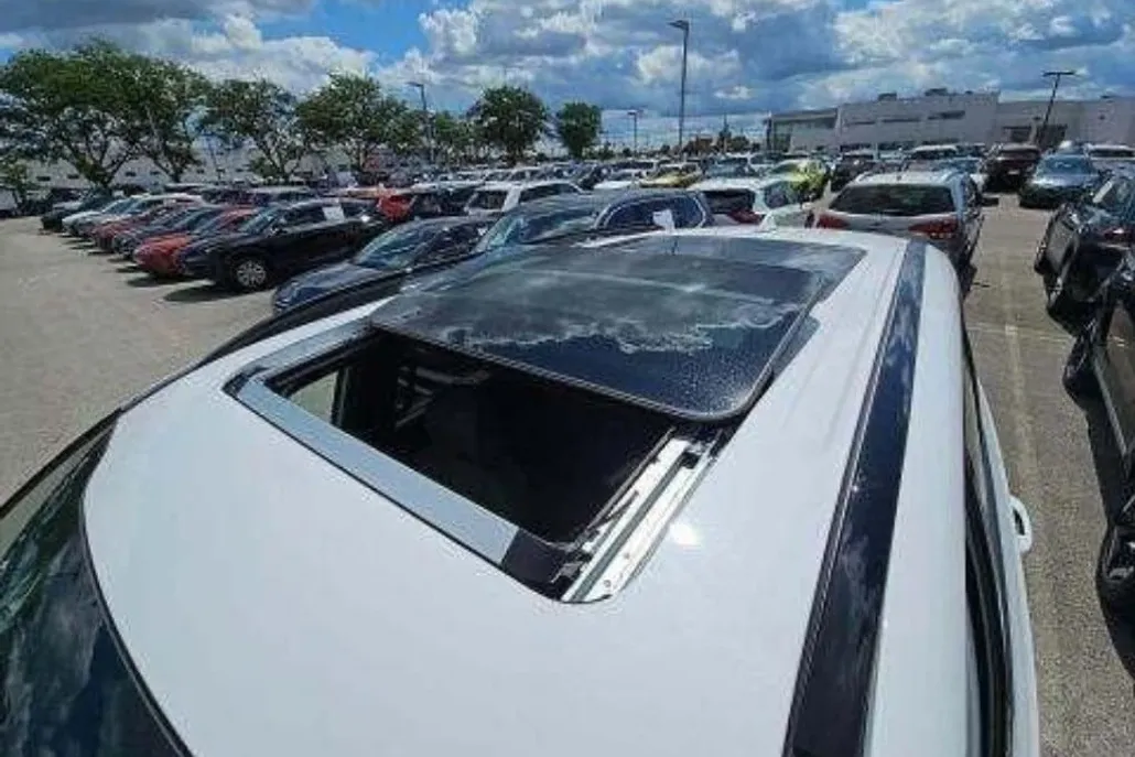 2023 Kia Telluride SX X-Pro photo 1