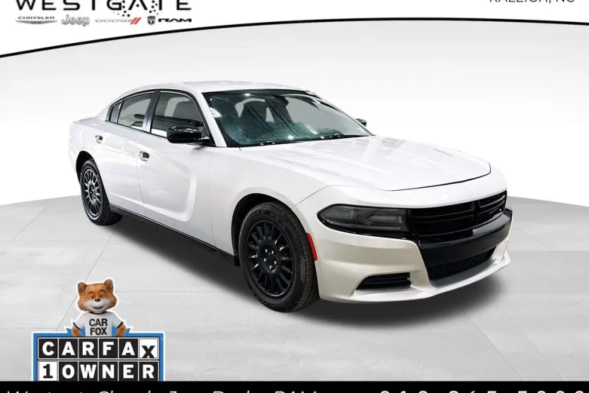 2019 Dodge Charger photo 1