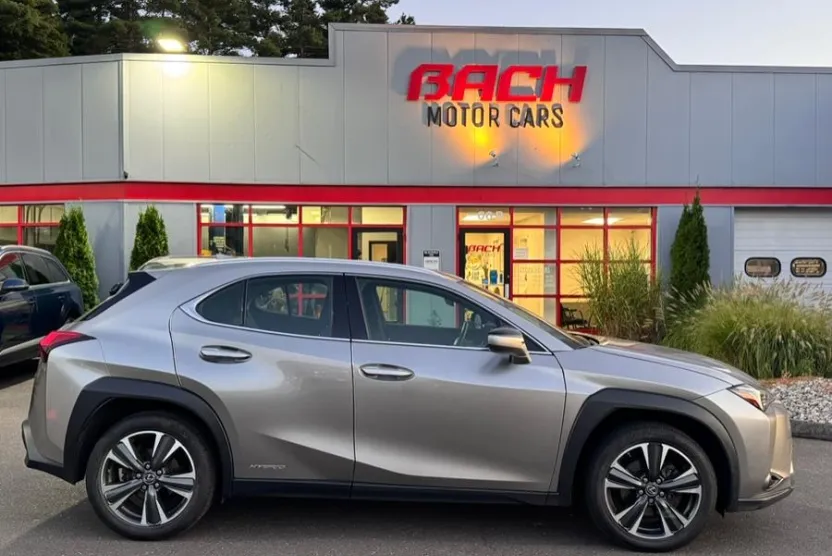 2020 Lexus UX 250h photo 1