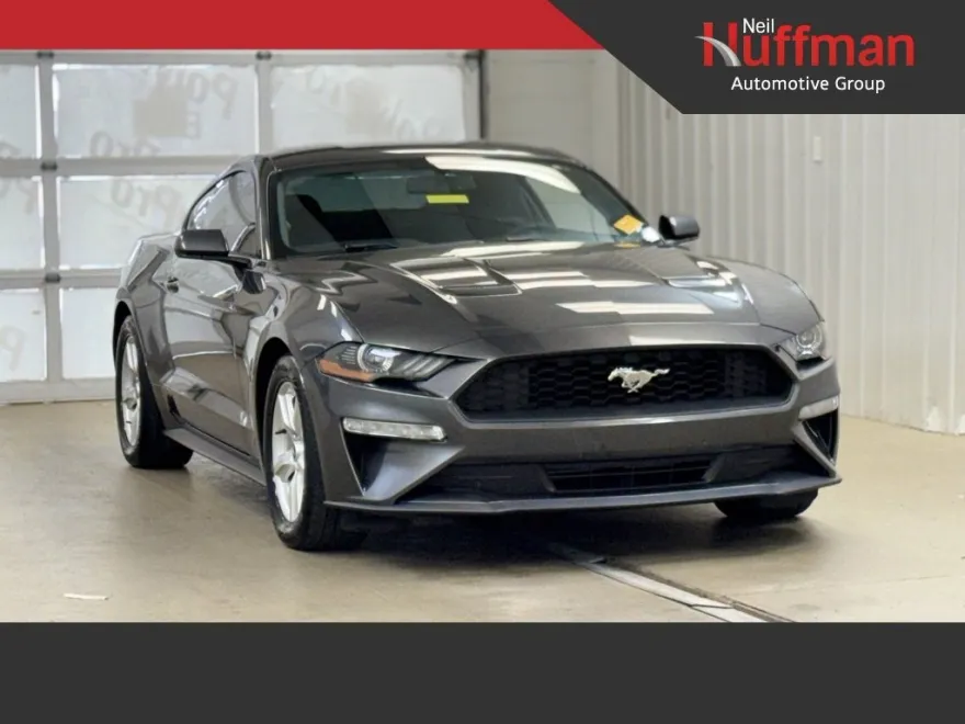 2019 Ford Mustang EcoBoost photo 1