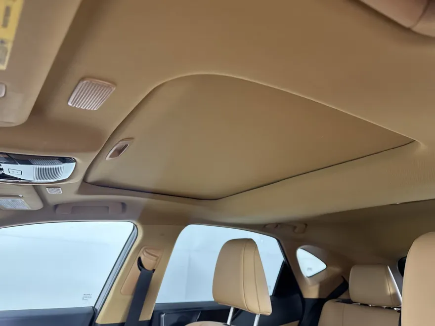 2024 Lexus NX 250 photo 1