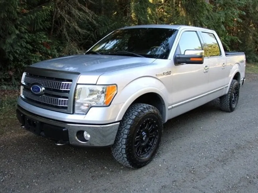 2010 Ford F-150 Platinum photo 1