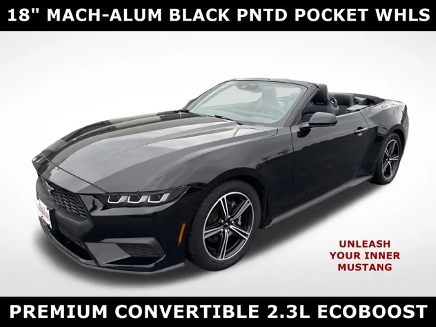 2024 Ford Mustang EcoBoost Premium Convertible photo 1