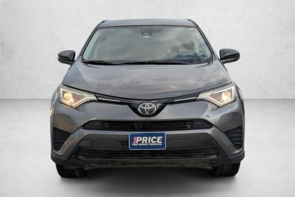 2017 Toyota RAV4 LE photo 1