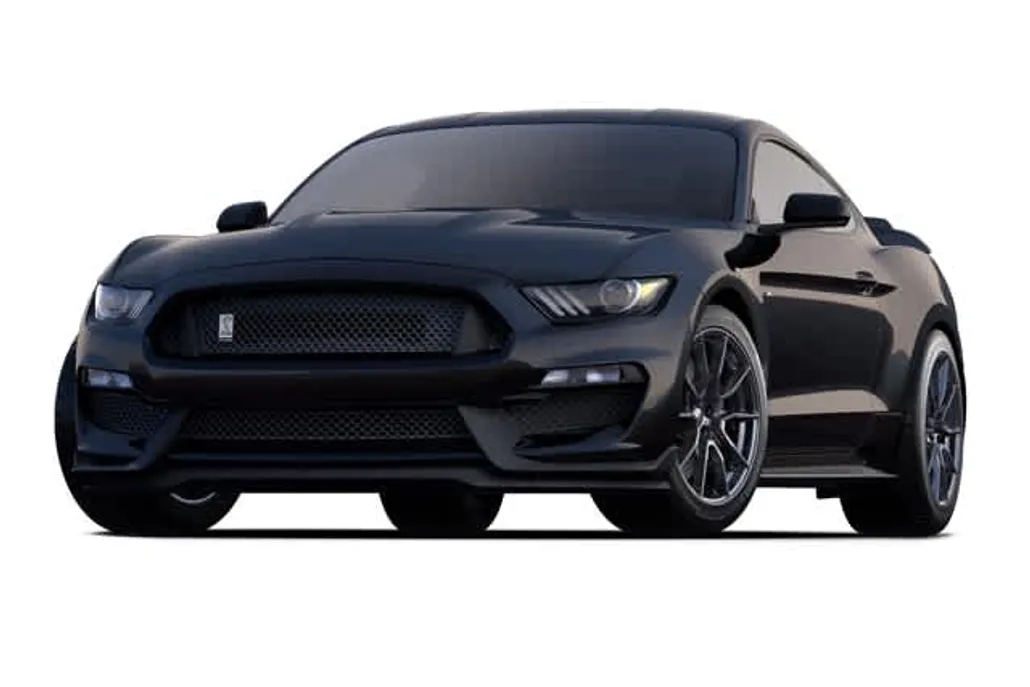 2019 Ford Mustang Shelby photo 1