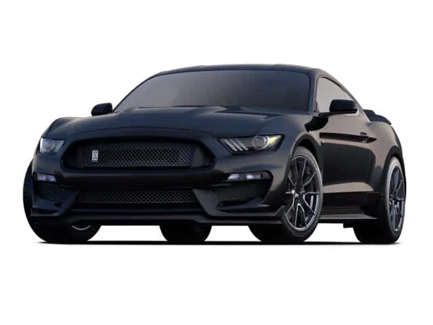 2019 Ford Mustang Shelby photo 1