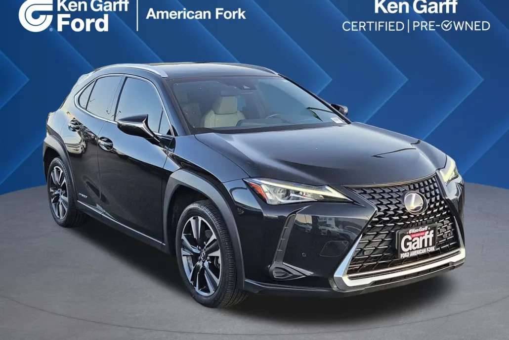 2022 Lexus UX 250h photo 1
