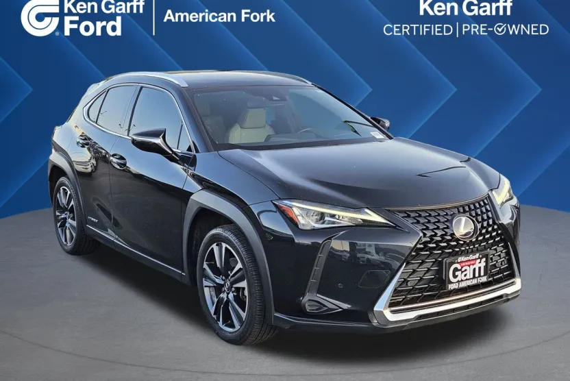 2022 Lexus UX 250h photo 1
