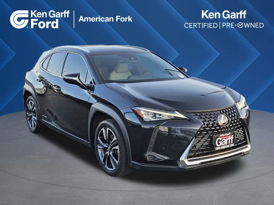 2022 Lexus UX 250h photo 1