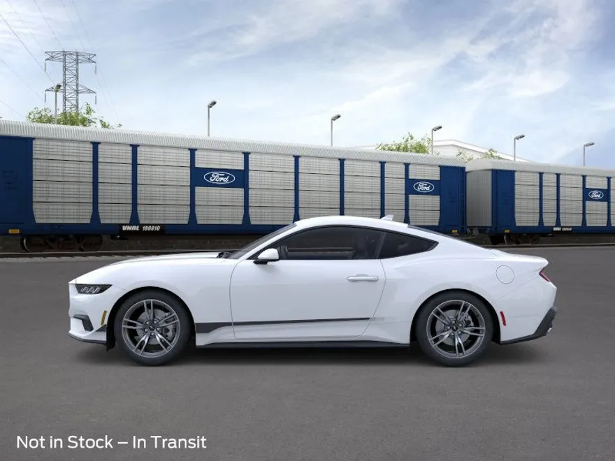 2025 Ford Mustang photo 1