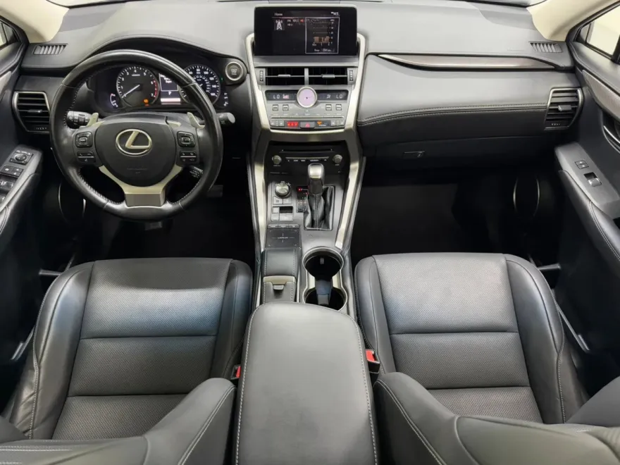 2019 Lexus NX 300 Luxury photo 1
