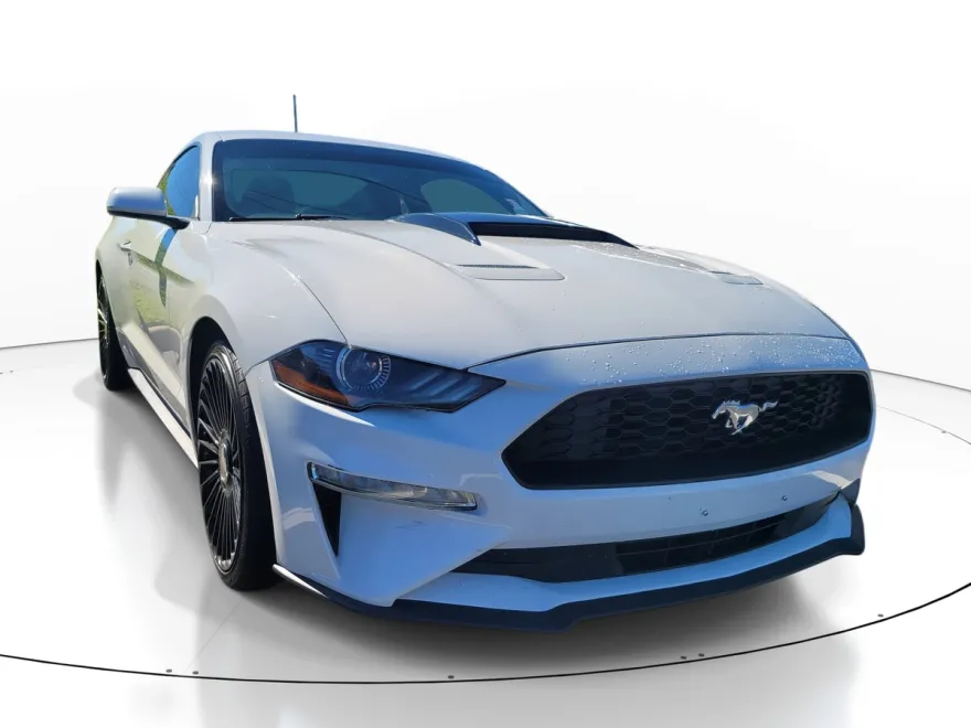 2019 Ford Mustang EcoBoost photo 1