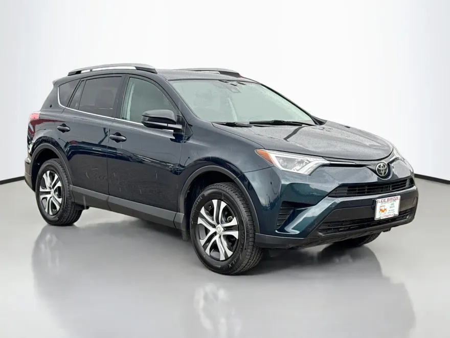2017 Toyota RAV4 LE photo 1