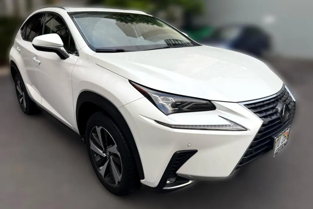 2019 Lexus NX 300 Luxury photo 1