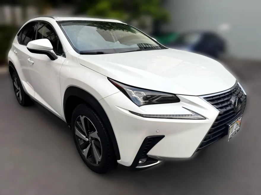 2019 Lexus NX 300 Luxury photo 1