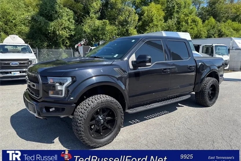 2020 Ford F-150 Raptor photo 1