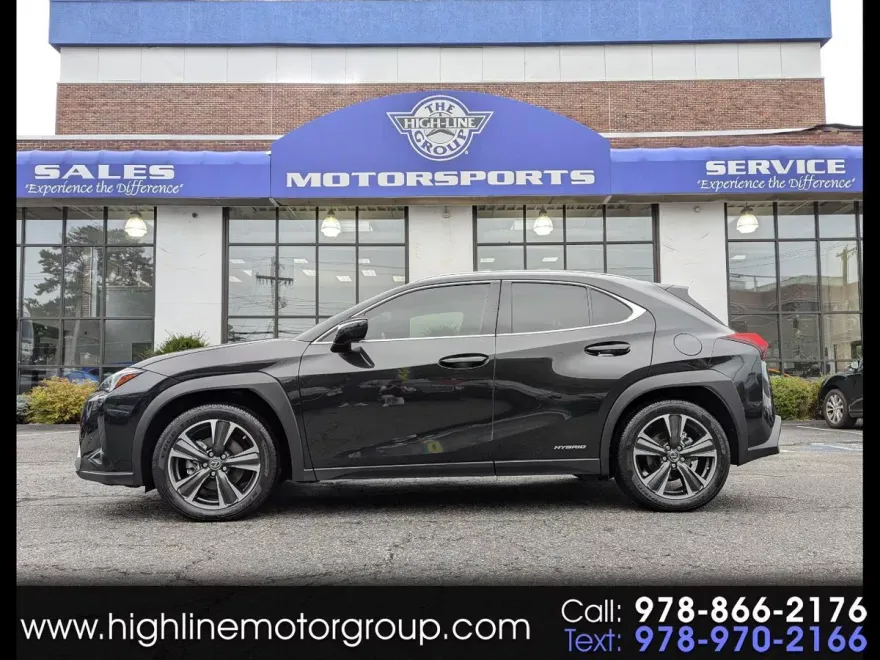 2020 Lexus UX 250h photo 1