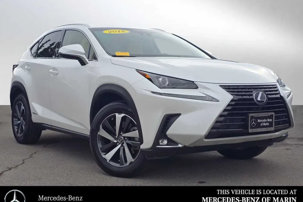 2018 Lexus NX 300h Luxury photo 1