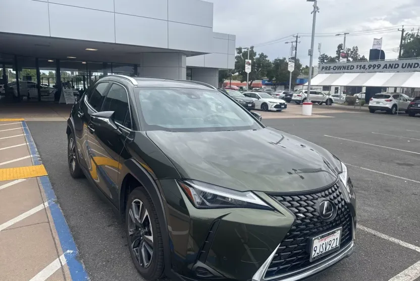 2024 Lexus UX 250h photo 1
