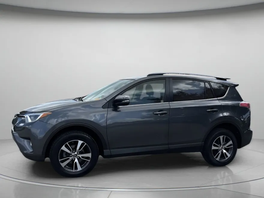 2018 Toyota RAV4 XLE photo 1