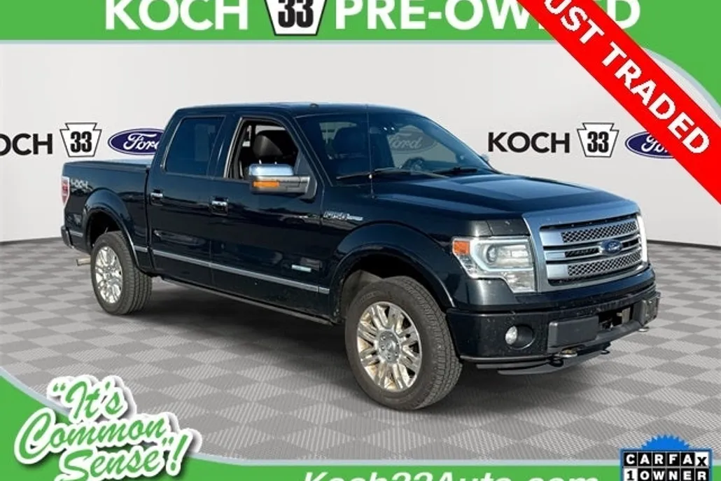 2013 Ford F-150 Platinum photo 1