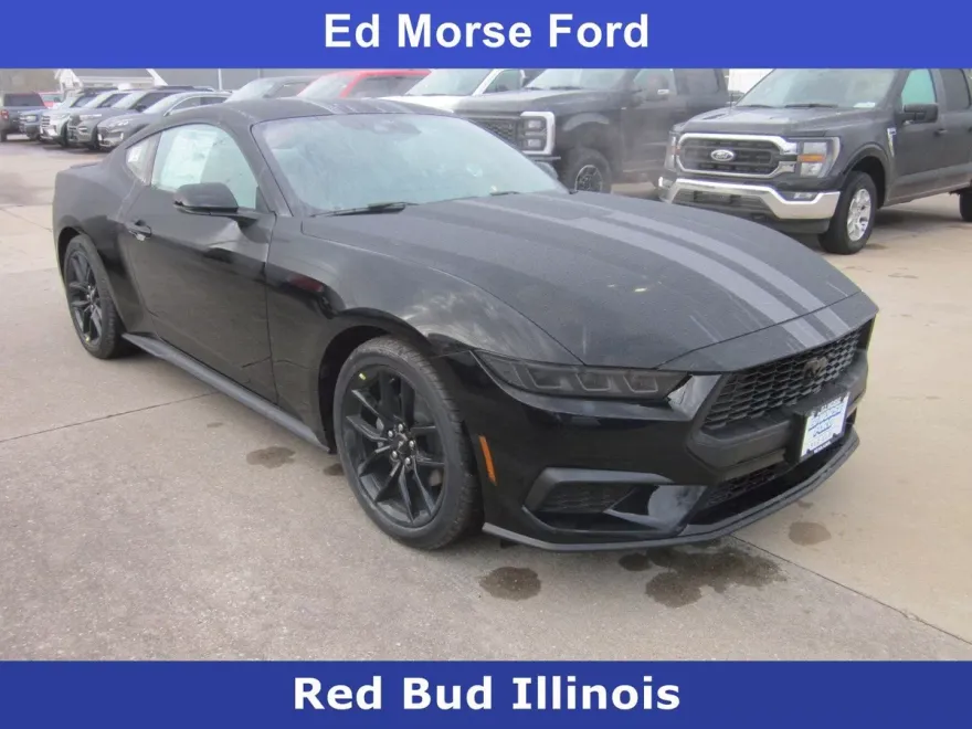 2025 Ford Mustang EcoBoost Premium photo 1