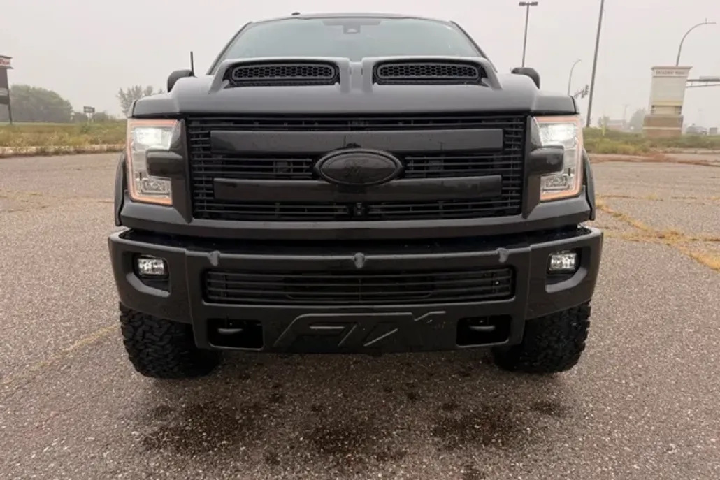 2015 Ford F-150 photo 1