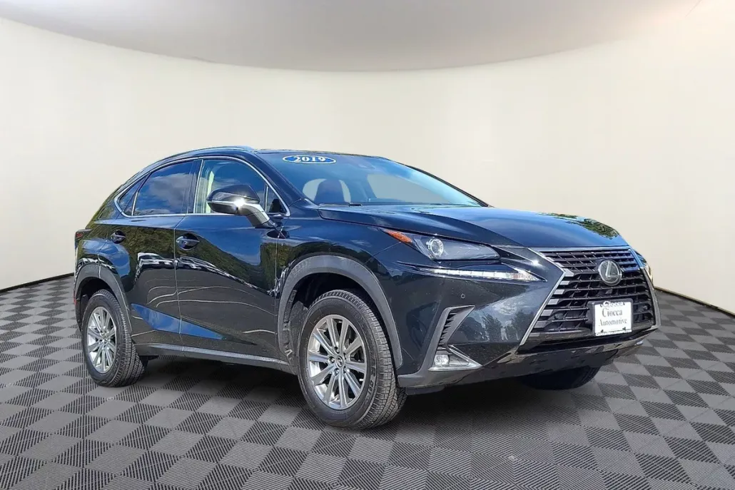 2019 Lexus NX 300 Luxury photo 1